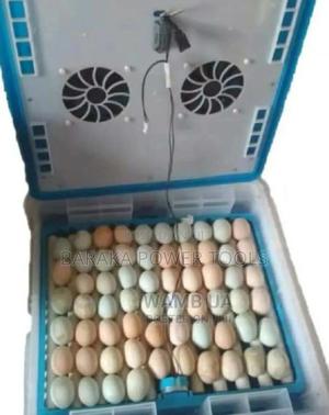 64egg Incubator Available - thumbnail 2