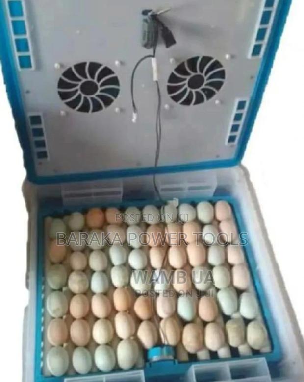 64egg Incubator Available