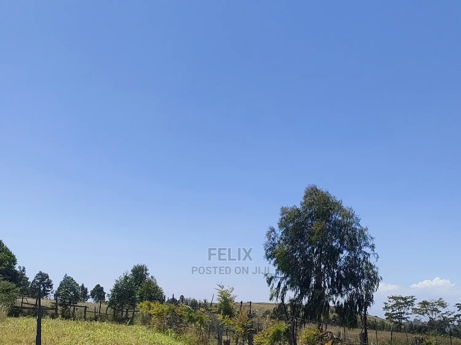 Narumoru/Rongai 1 Acre