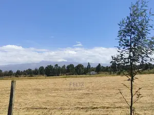 Narumoru/Rongai 1 Acre
