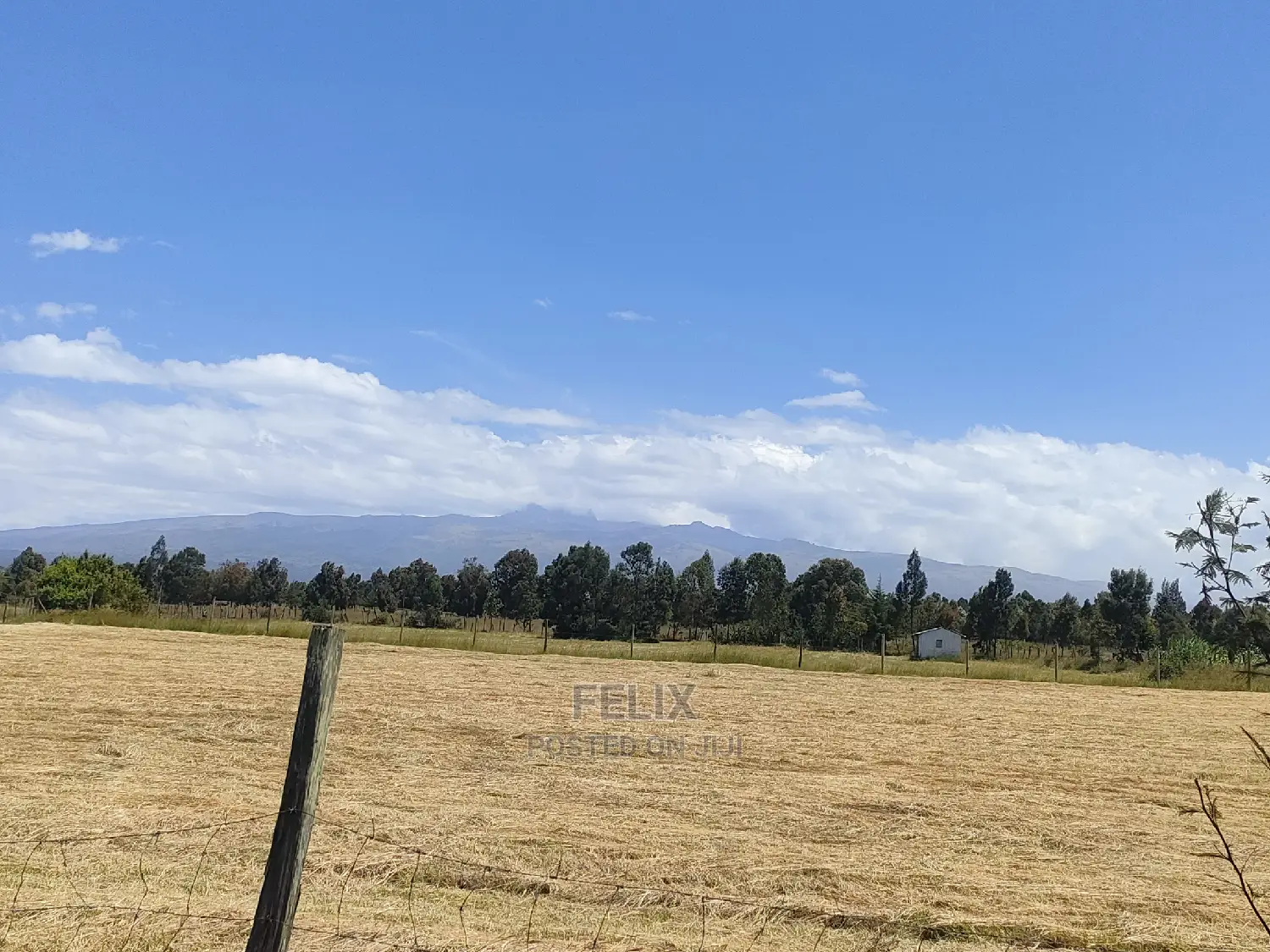 Narumoru/Rongai 1 Acre