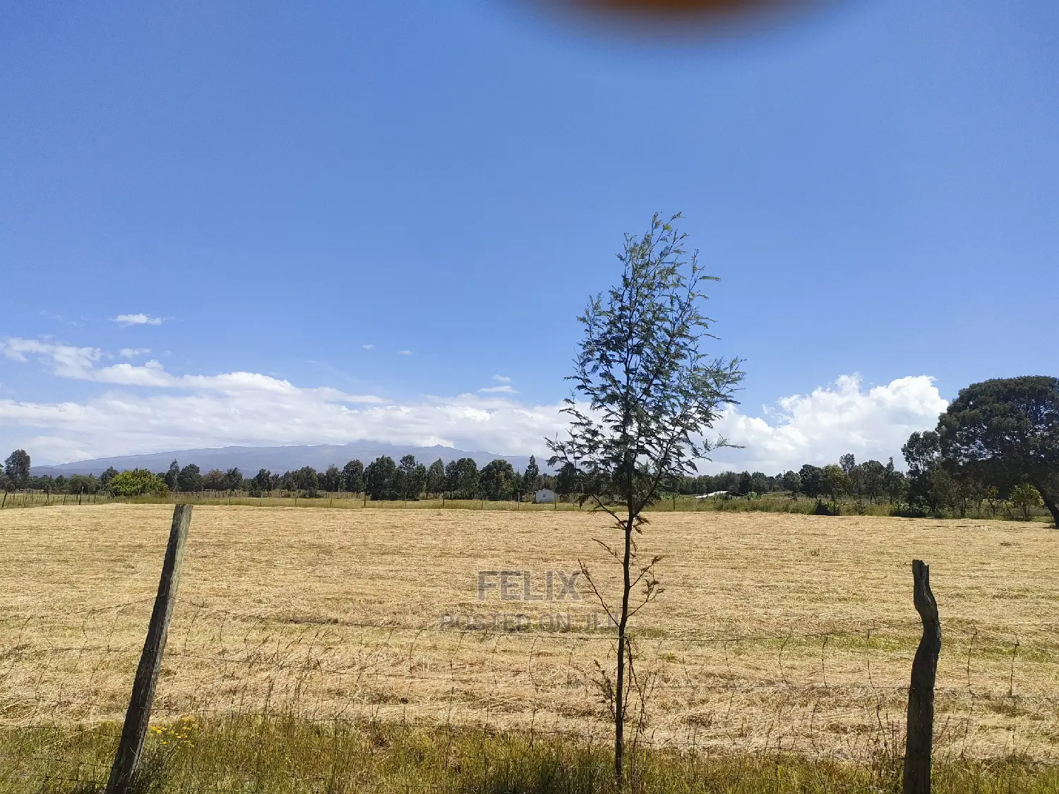 Narumoru/Rongai 1 Acre