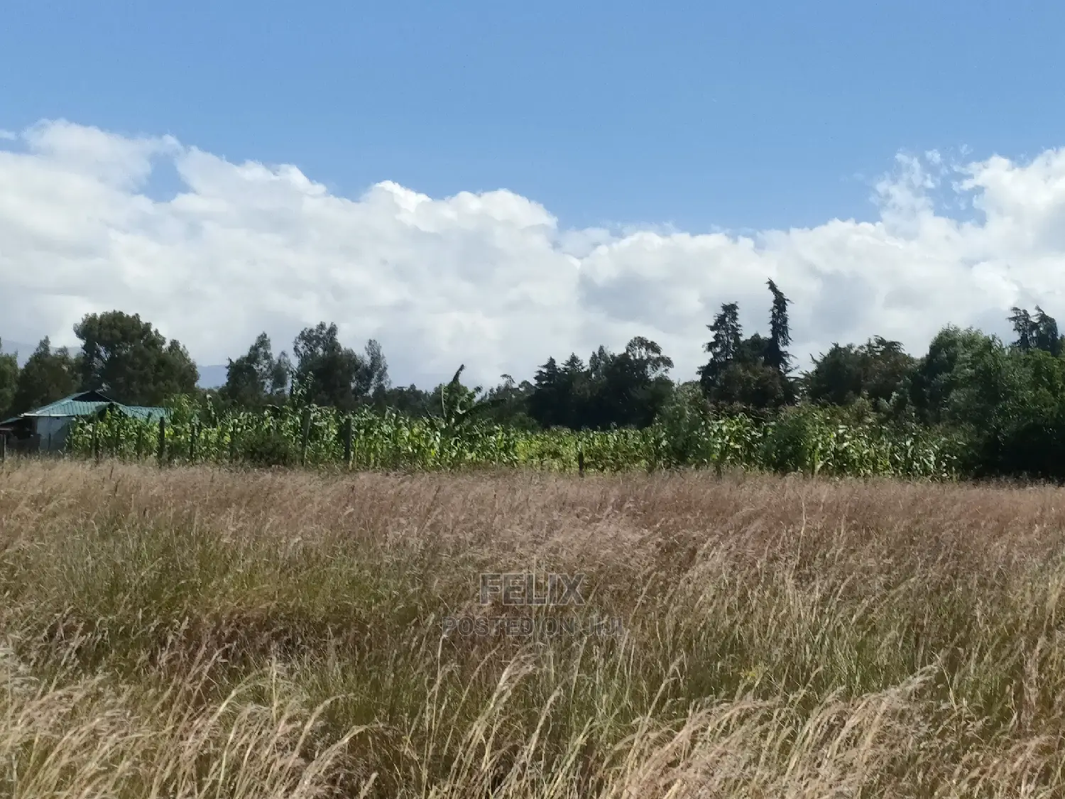 Narumoru/Rongai 1 Acre