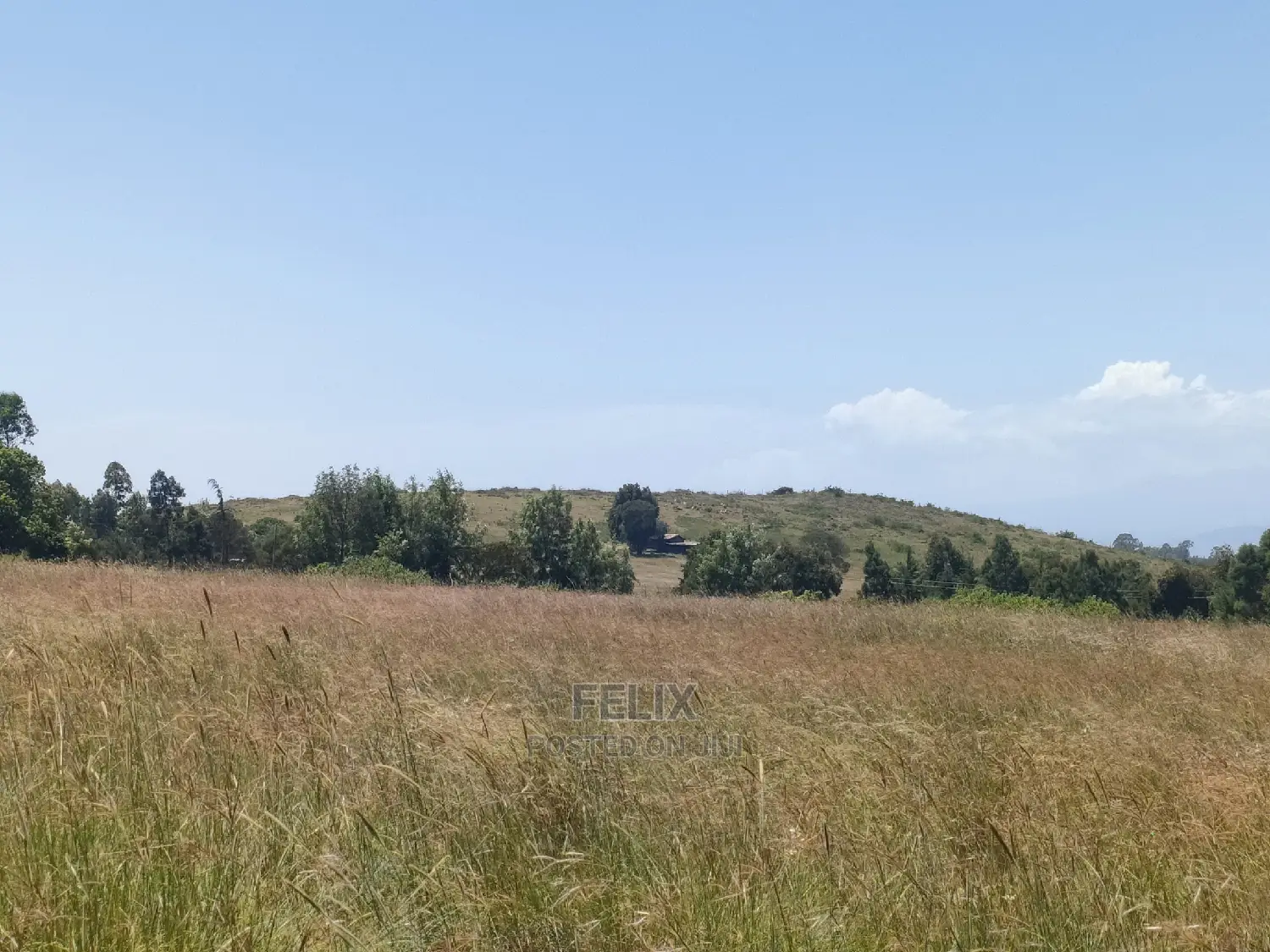 Narumoru/Rongai 1 Acre