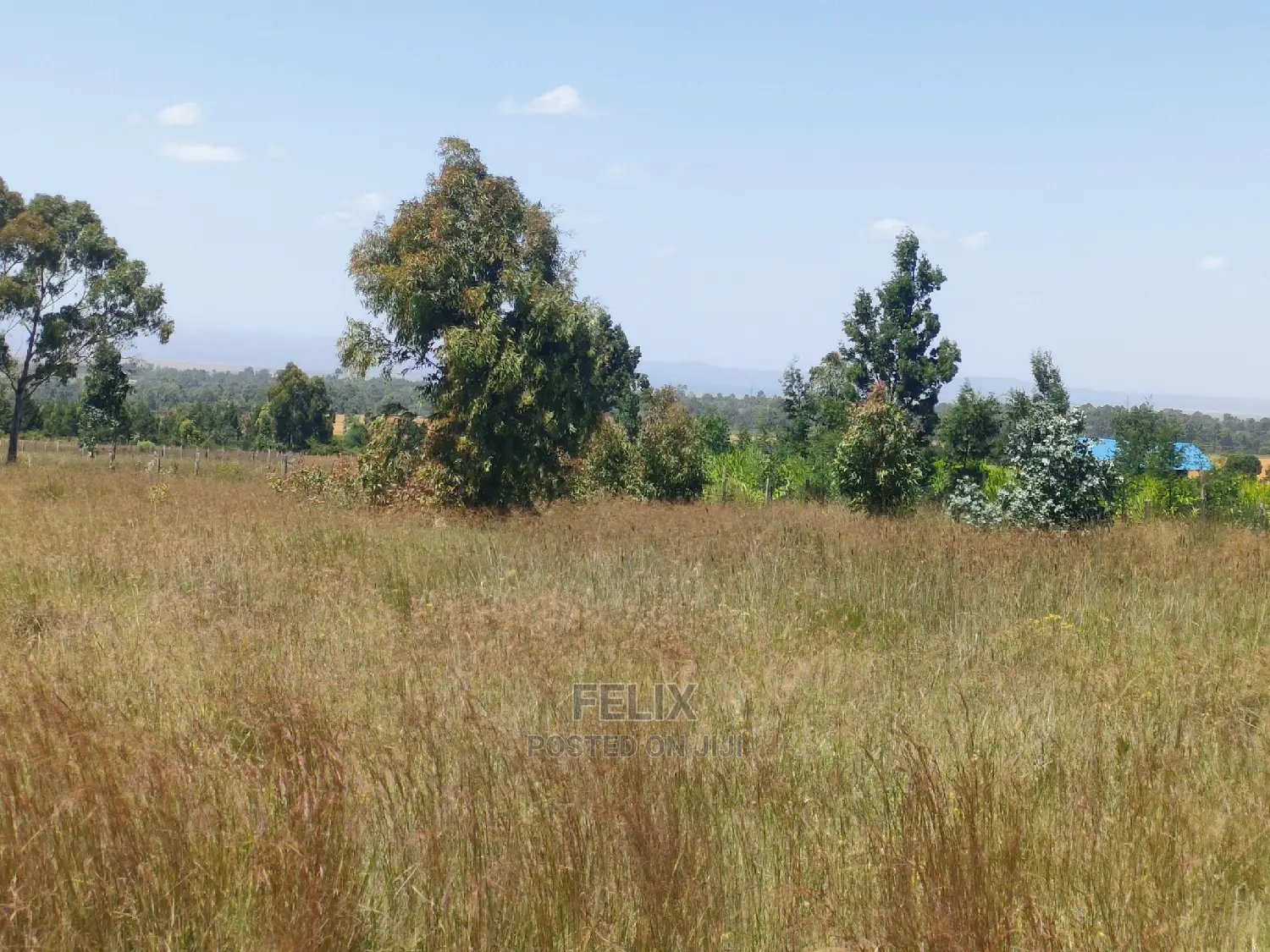Narumoru/Rongai 1 Acre