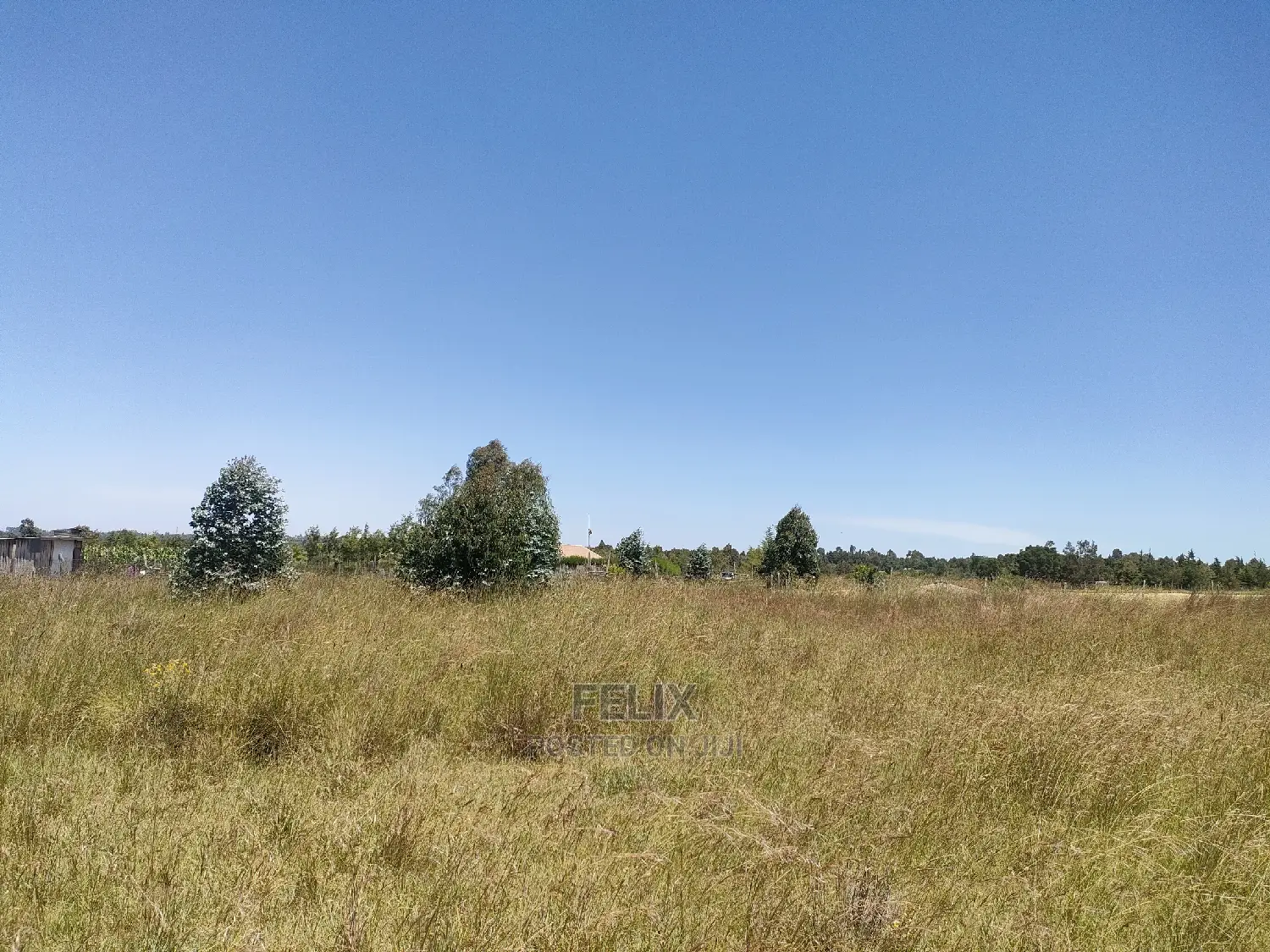 Narumoru/Rongai 1 Acre