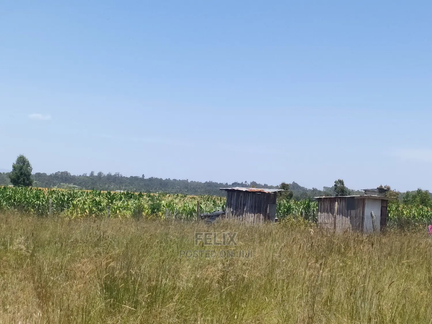 Narumoru/Rongai 1 Acre