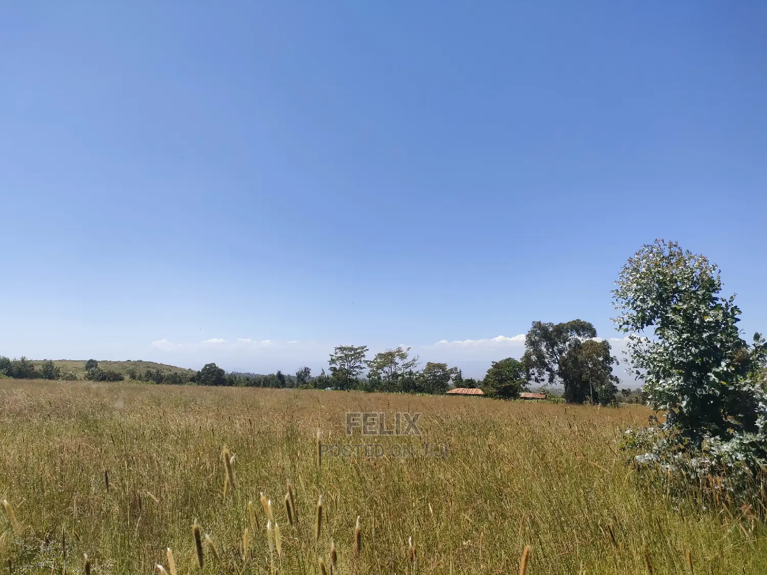 Narumoru/Rongai 1 Acre