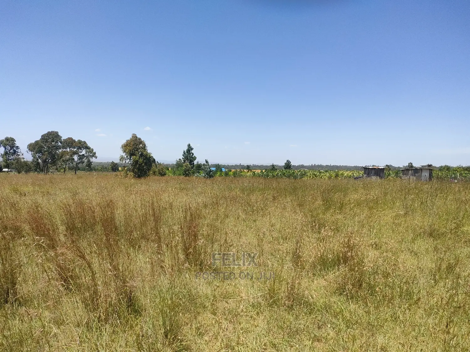 Narumoru/Rongai 1 Acre