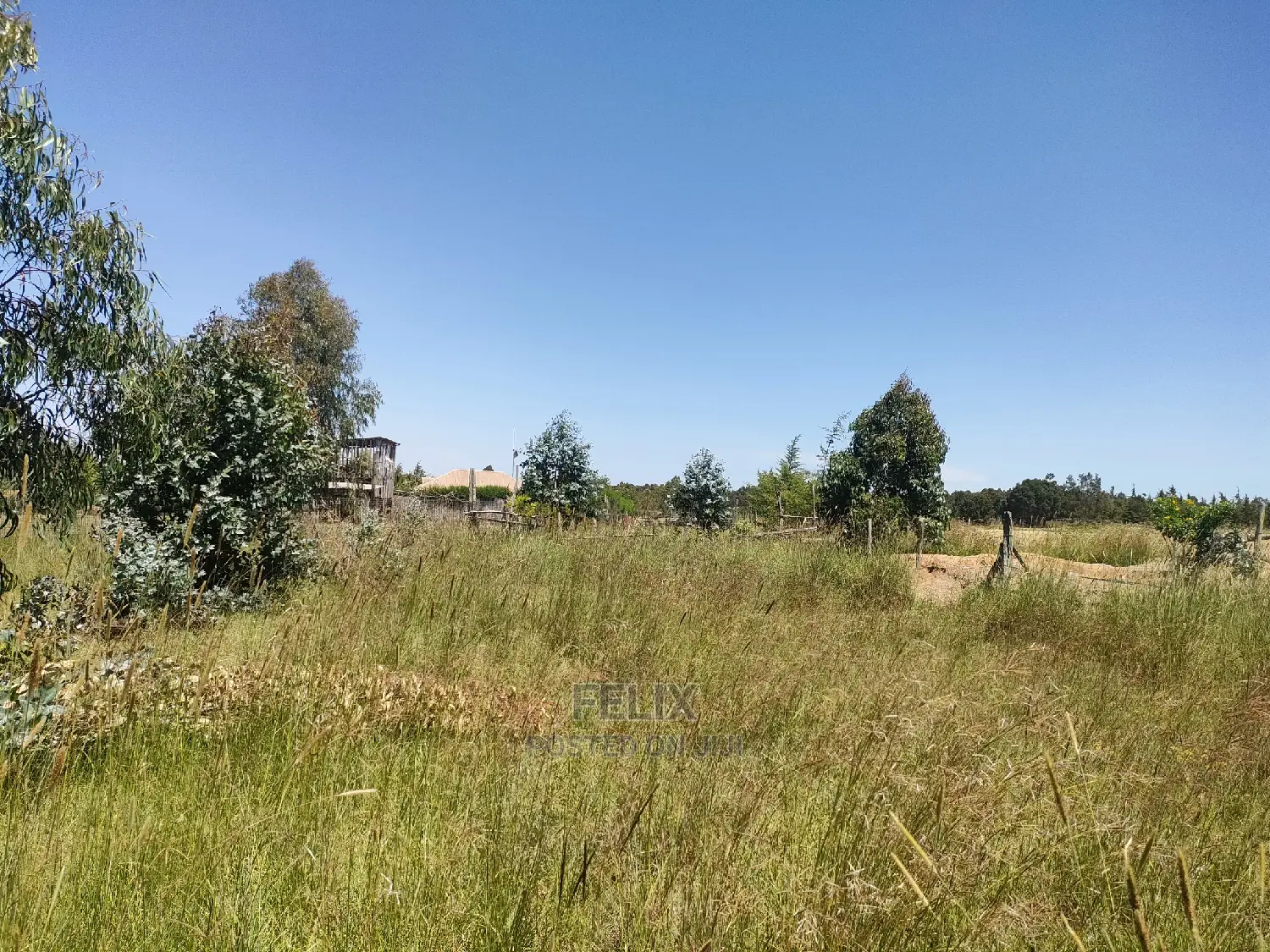 Narumoru/Rongai 1 Acre