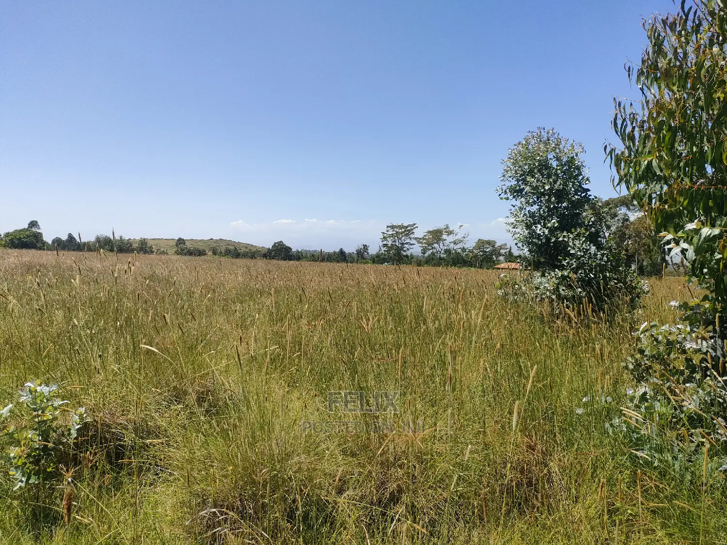 Narumoru/Rongai 1 Acre