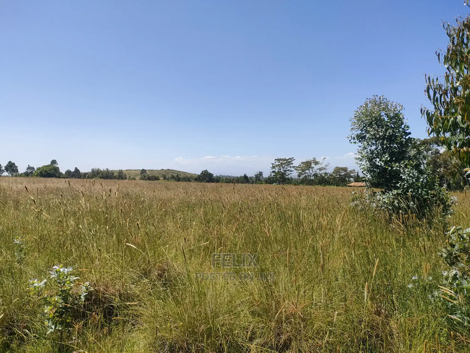 Narumoru/Rongai 1 Acre