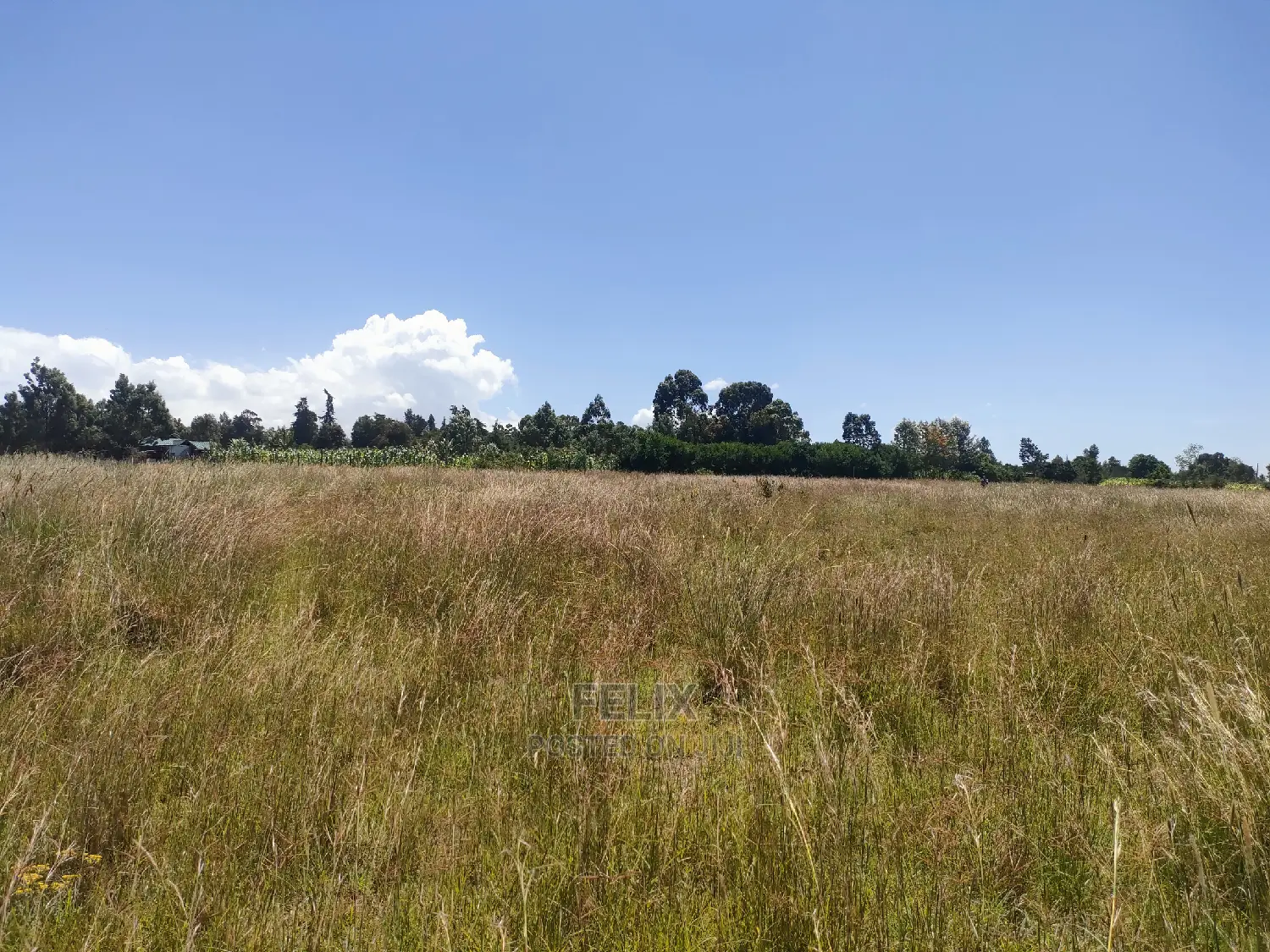 Narumoru/Rongai 1 Acre