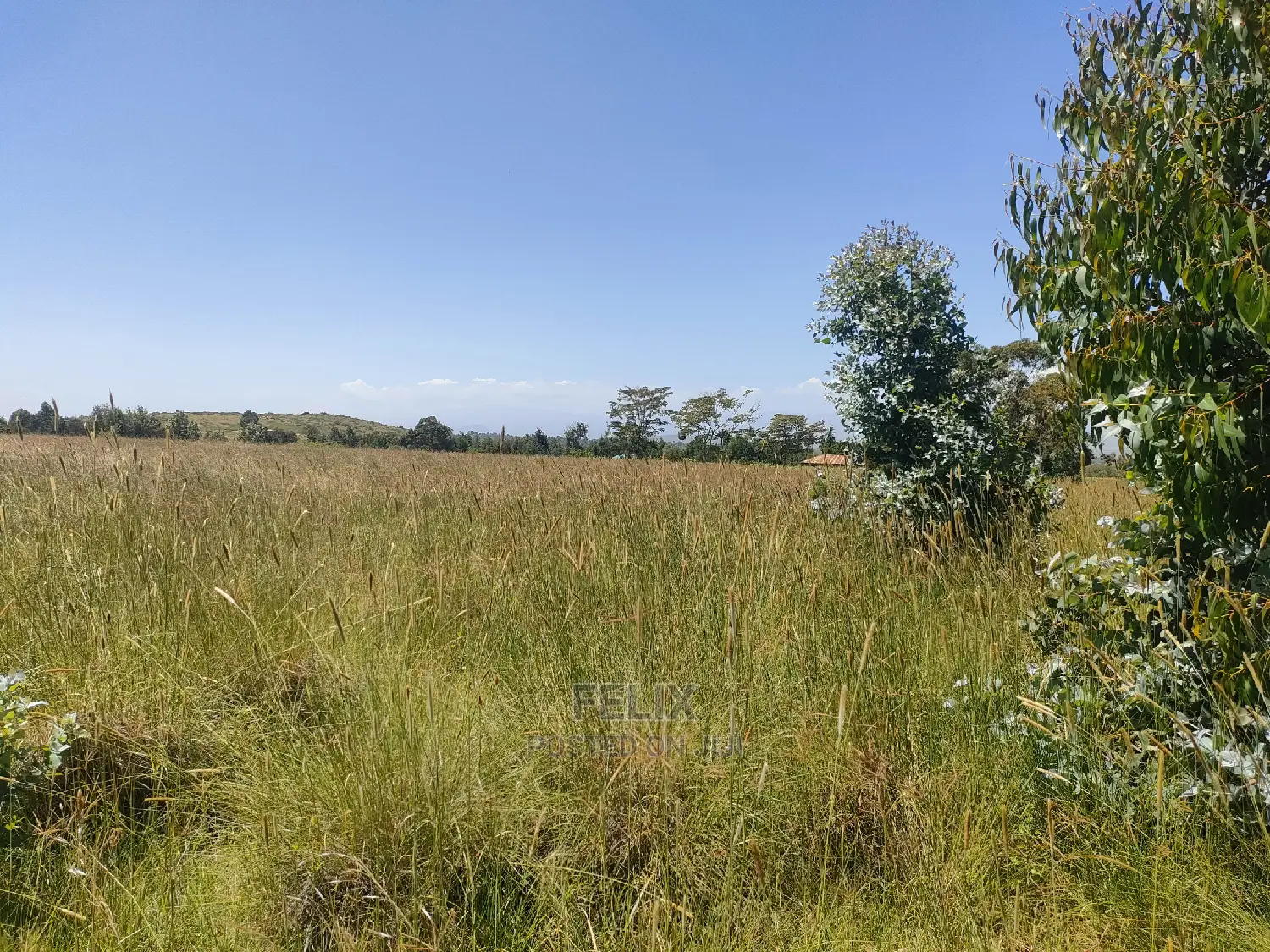 Narumoru/Rongai 1 Acre