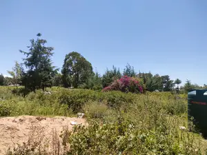 Narumoru Blue Line 1/2 Acre