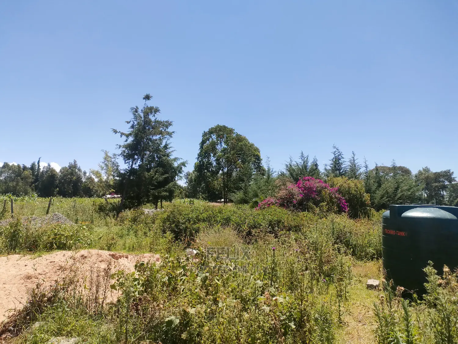 Narumoru Blue Line 1/2 Acre
