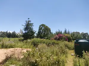 Narumoru Blue Line 1/2 Acre