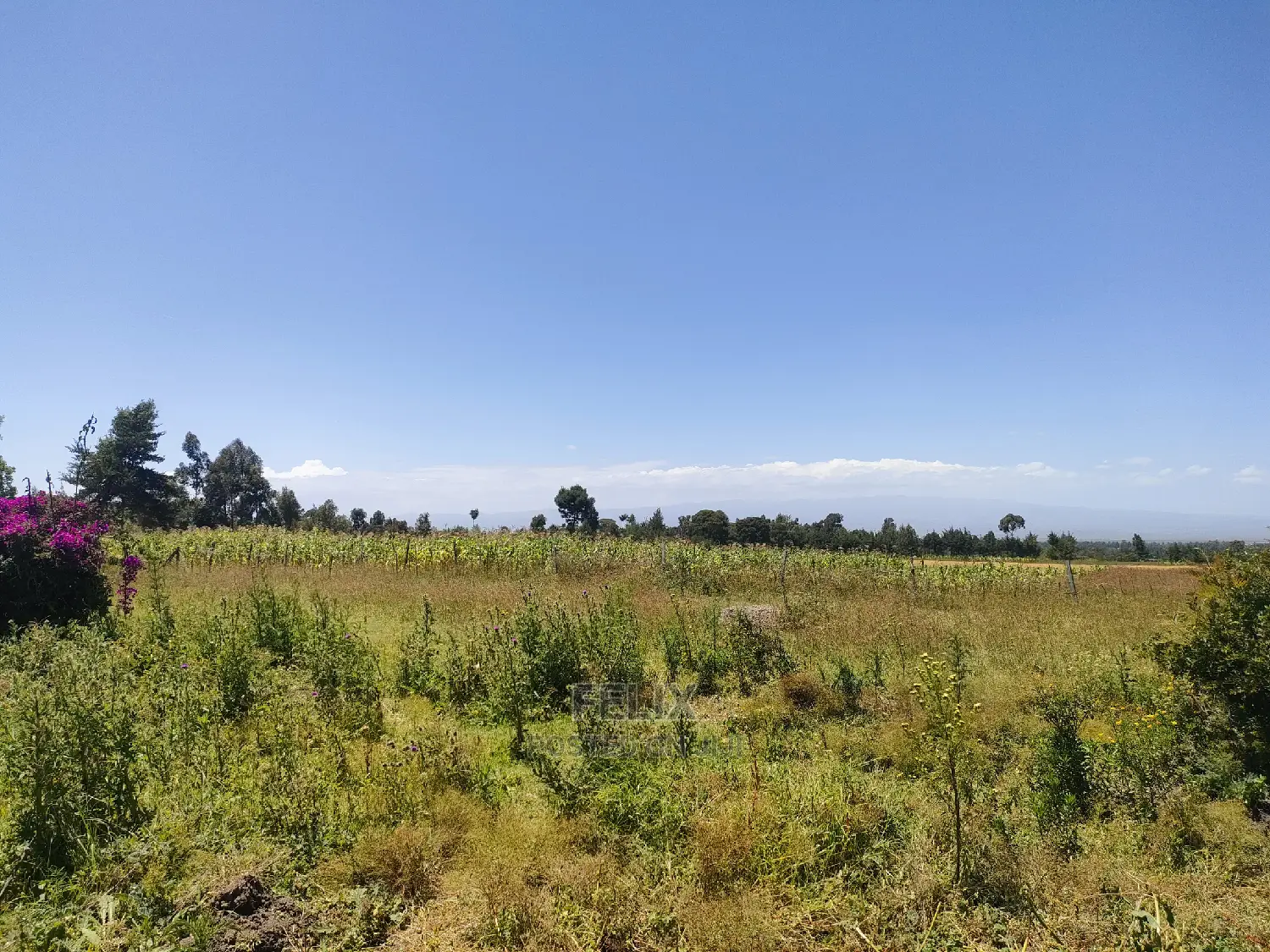 Narumoru Blue Line 1/2 Acre in Kieni Land & Plots for Sale, Felix