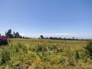 Narumoru Blue Line 1/2 Acre