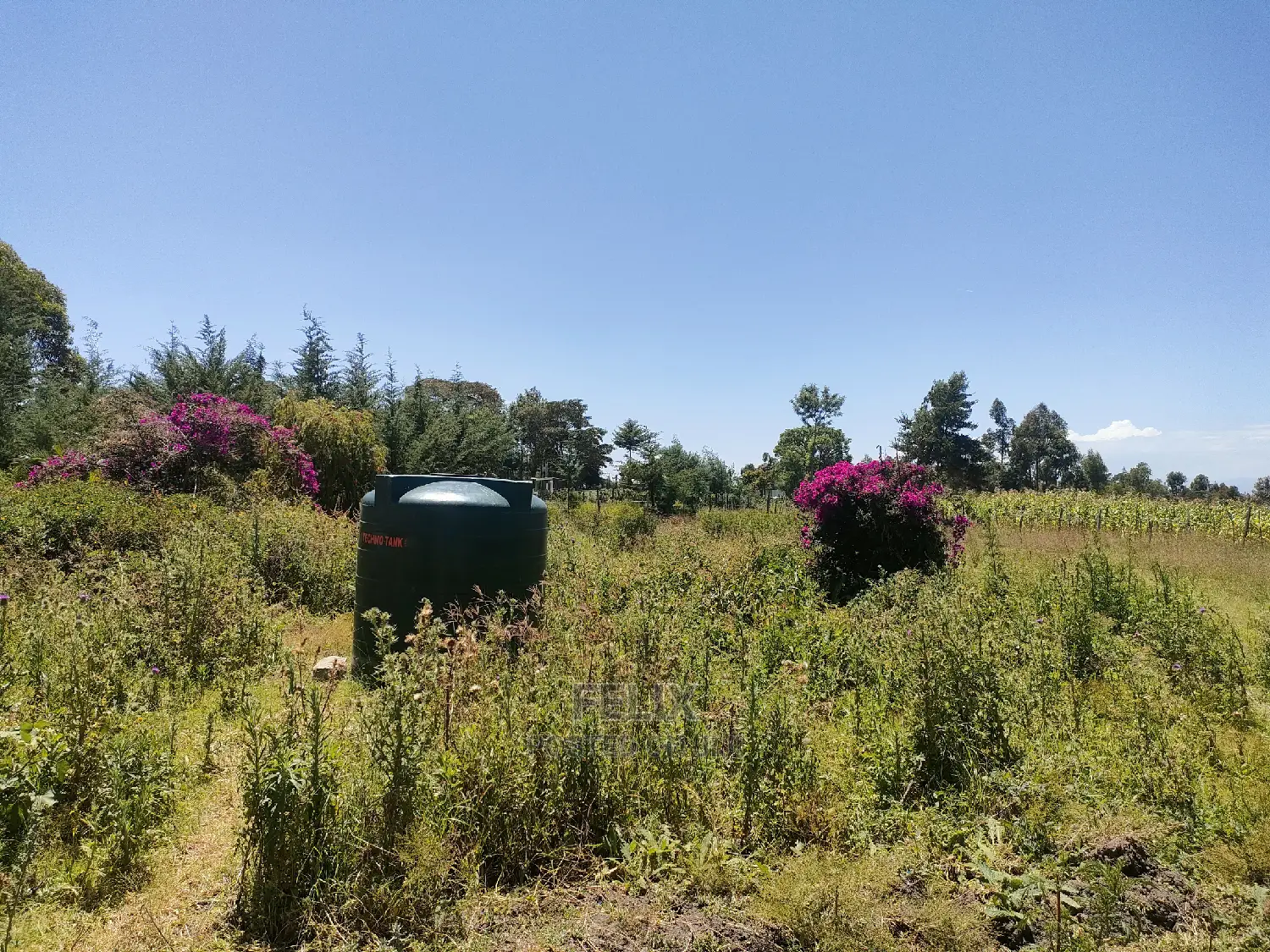 Narumoru Blue Line 1/2 Acre in Kieni Land & Plots for Sale, Felix