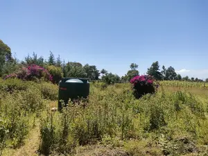 Narumoru Blue Line 1/2 Acre
