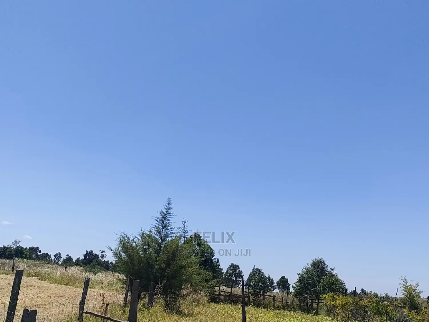 Narumoru Blue Line 1/2 Acre in Kieni Land & Plots for Sale, Felix