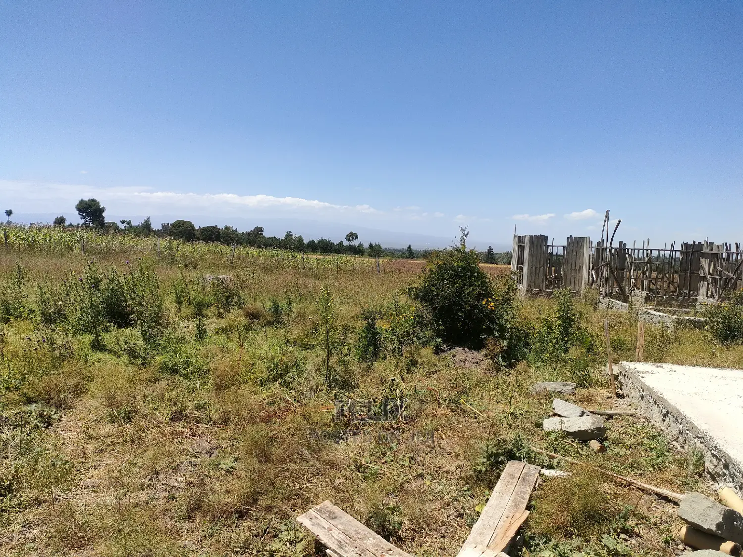 Narumoru Blue Line 1/2 Acre in Kieni Land & Plots for Sale, Felix