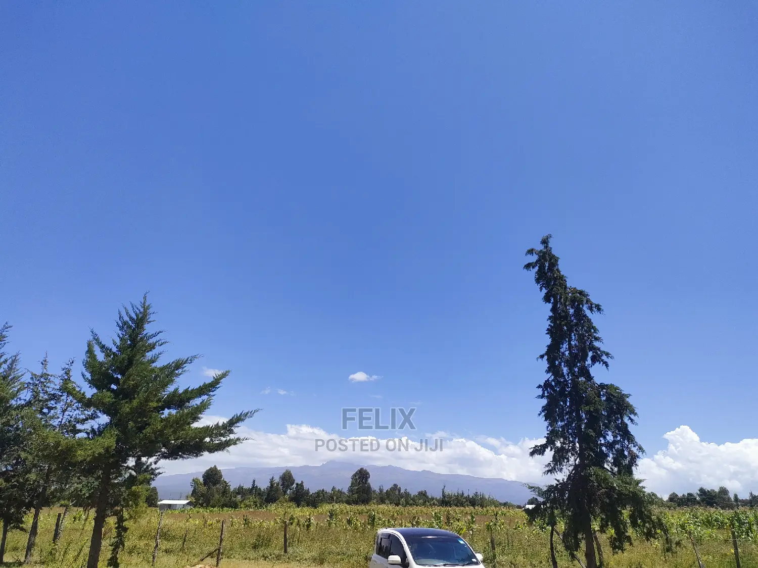 Narumoru Blue Line 1/2 Acre