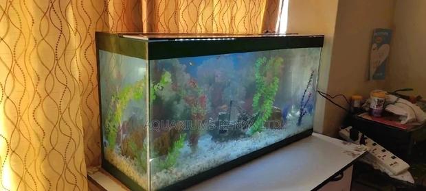 Large Aquarium 120l - main view