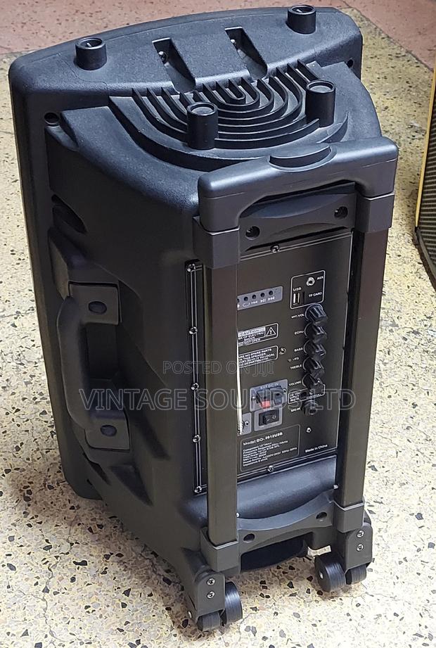 Bowl 12inch Portable Powered Rechargeable Speaker - thumbnail 3