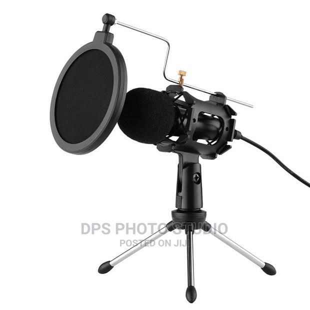 Video/Microphone Stand