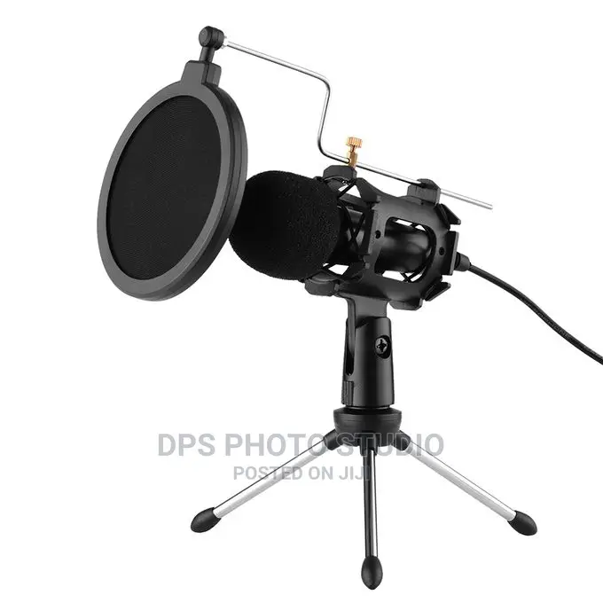 Video/Microphone Stand