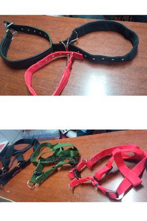 Original German Shepherd Dog Collars Harnesses Heavy Duty - thumbnail 2