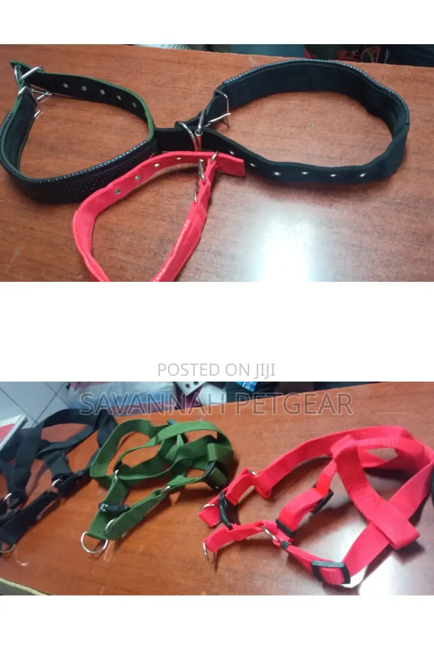 Original German Shepherd Dog Collars Harnesses Heavy Duty