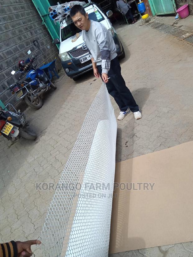 Plastic White Mesh for Chicken - main view