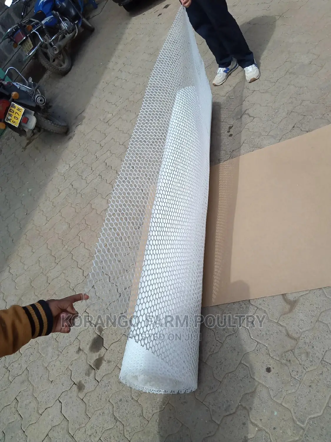 Plastic White Mesh for Chicken