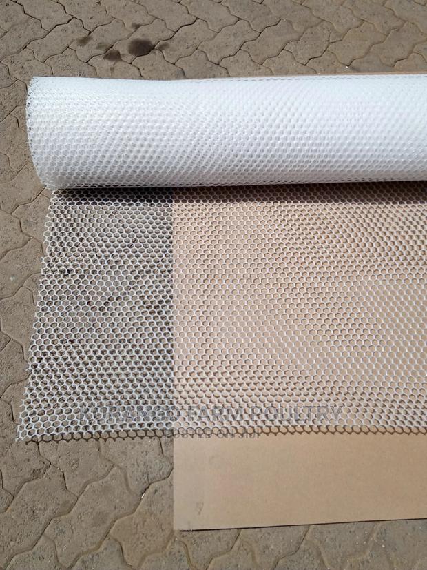 Plastic White Mesh for Chicken - thumbnail 4