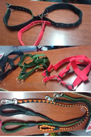 Original German Shepherd Dog Collars Harnesses Heavy Duty