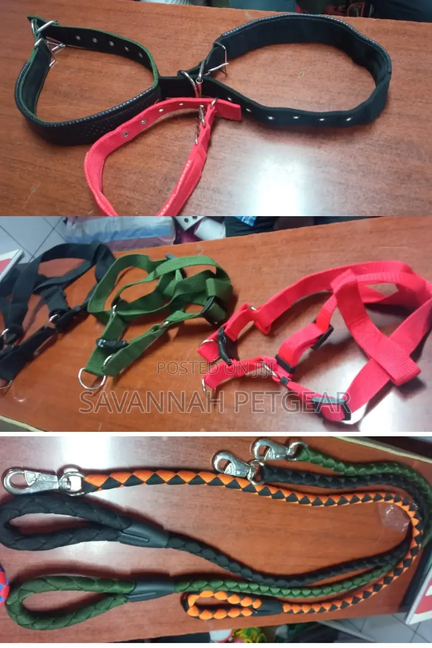 Original German Shepherd Dog Collars Harnesses Heavy Duty