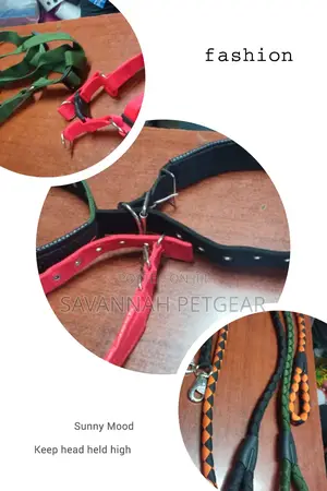 Original German Shepherd Dog Collars Harnesses Heavy Duty