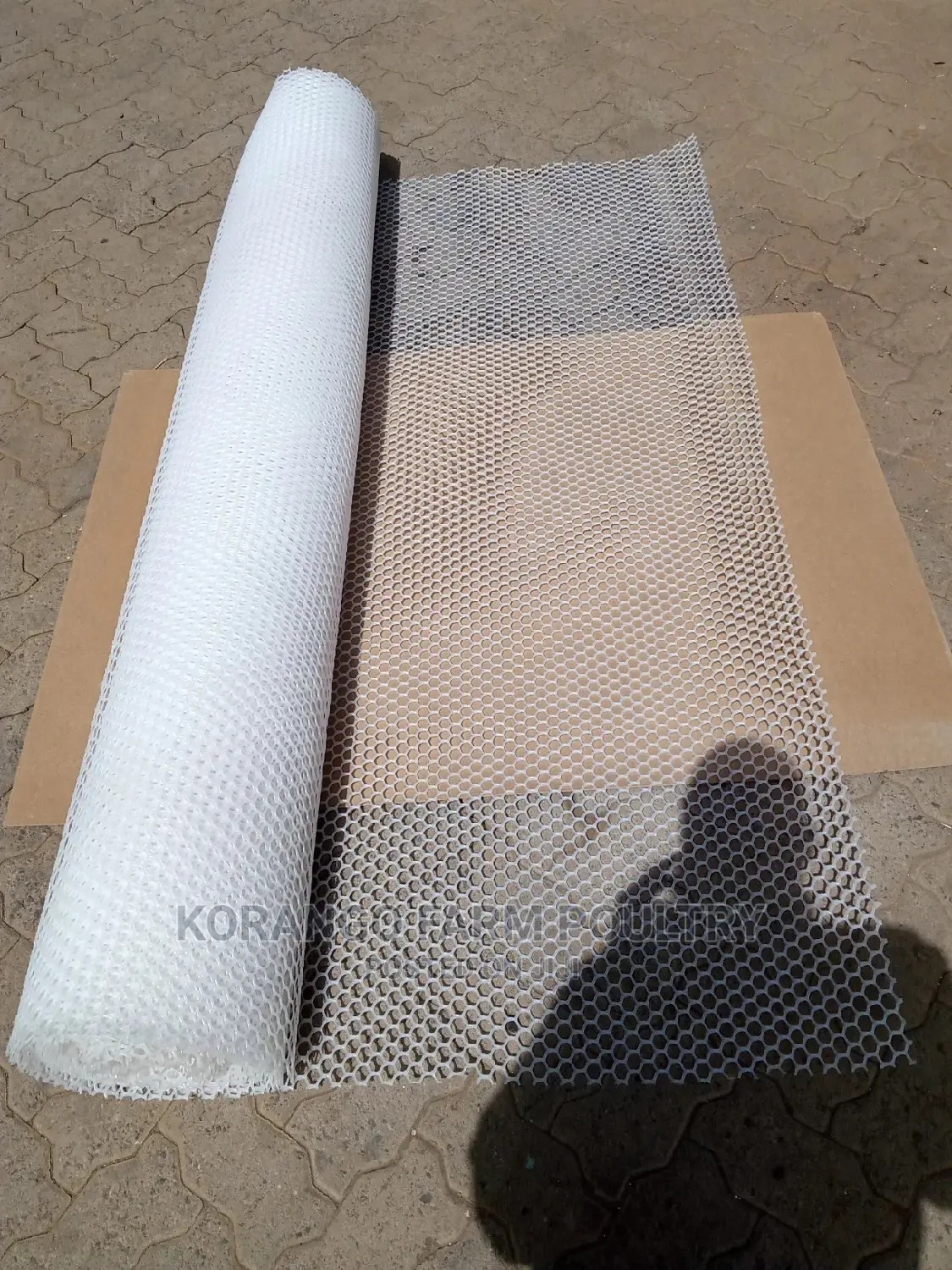 Chicken Plastic Mesh