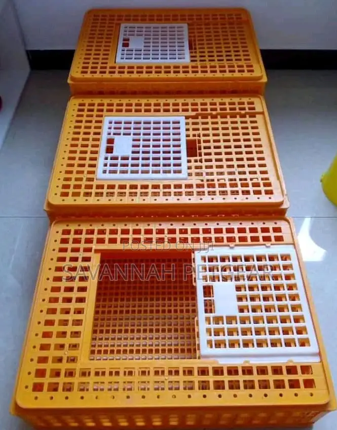 Chicken Transportation Crates