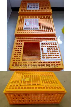 Chicken Transportation Crates