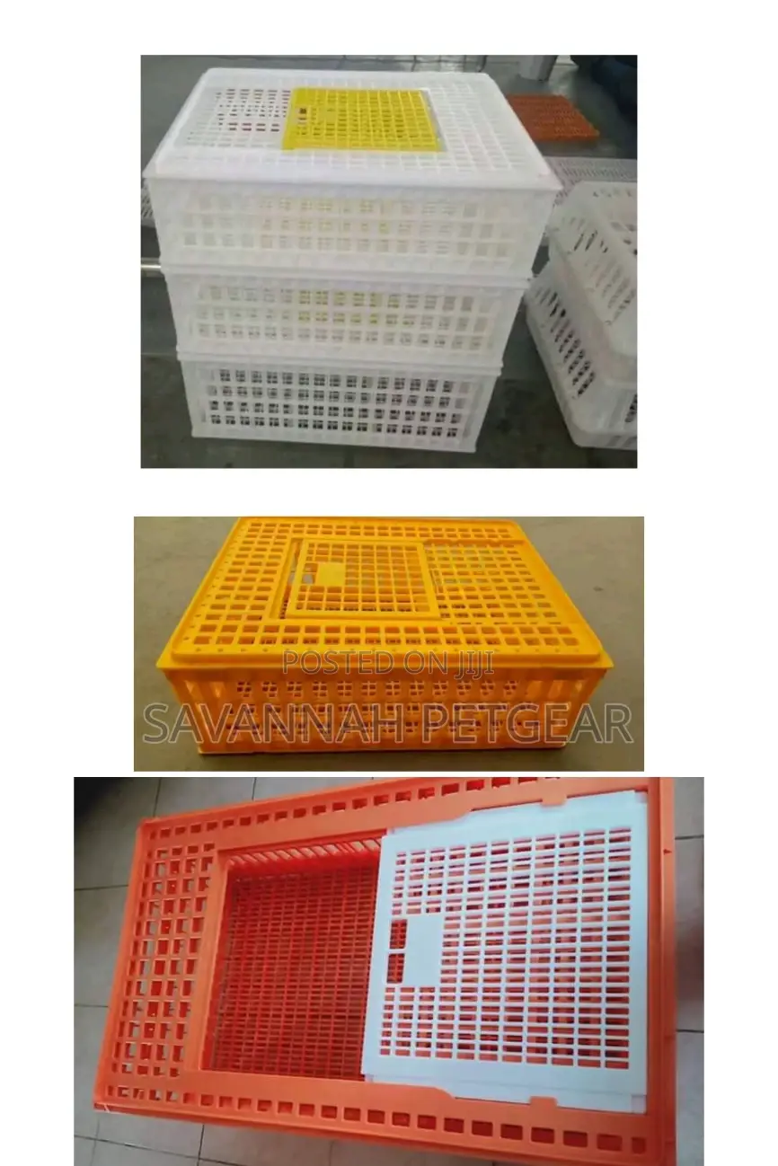 White Chicken Transport Cages