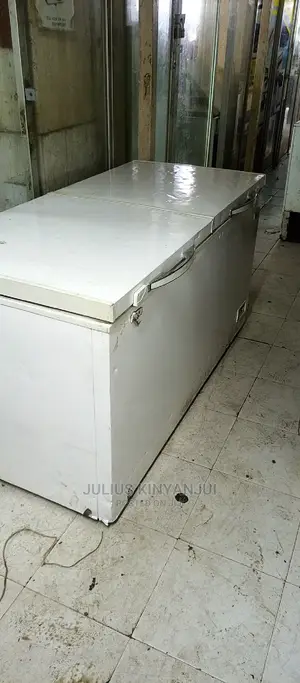 Double Door Freezer 600L