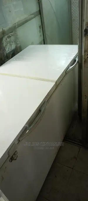 Double Door Freezer 600L