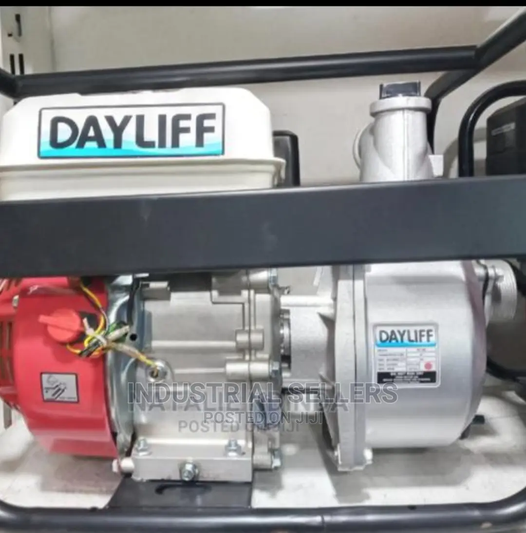 Daylife 2" Water Pump