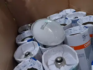 Screw Type Mercury Bulb 125w