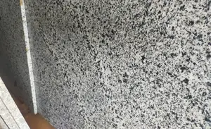 Black and White- Granite