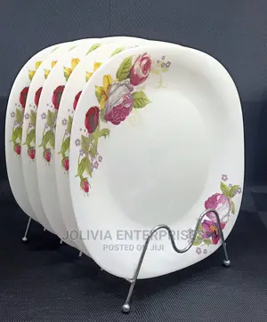 Plates 6 Pieces